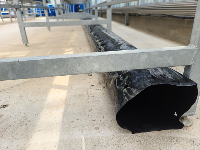 894a81e126fadf140e6a0cf87d9daae5_1642493445_0694.jpg